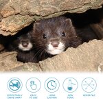 Marten Repellent Spray Manufacturer - 100ml OEM