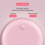 Ring Light Manufacturer - Wholesale Portable