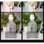 Telephoto Lens Manufacturer - 2X Zoom OEM