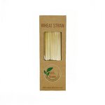 Biodegradable Paper Straw Factory - Bending Stripe Design for Wheat Rice PLA