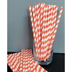 Biodegradable Paper Straws Factory - Custom Printed Colorful Disposable Eco-Friendly