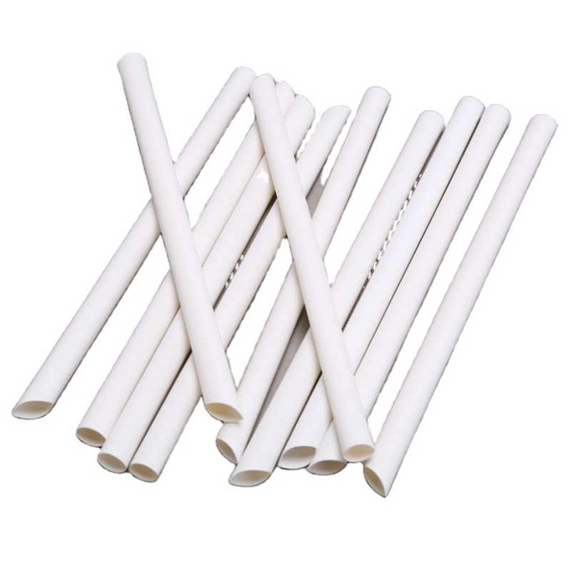 Biodegradable PLA Straws Manufacturer - Safe Eco-Friendly Christmas Disposable Reusable