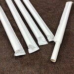 Biodegradable PLA Straw Factory - Colored Printing Compostable for Christmas
