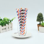 Disposable Paper Straws Manufacturer - Best Selling Christmas Printed Colorful