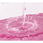 Bubble Bag Factory - Wholesale Waterproof Shockproof Clothing Mailer Bag Express