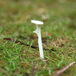 Golf Tees Manufacturer - 83mm Plastic OEM