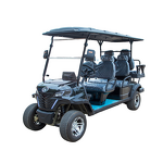 Electric Golf Cart Manufacturer - Cross Border OEM