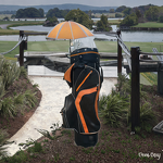 Golf Cart Bag Manufacturer - PU Leather OEM