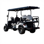 Electric Golf Cart Manufacturer - Patrol Car OEM