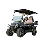 Electric Golf Cart Manufacturer - 4 Seater OEM