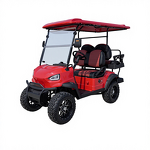 Electric Sightseeing Cart Manufacturer - New Model