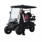 Electric Sightseeing Cart Manufacturer - New Model