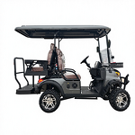 Electric Golf Cart Manufacturer - Off Road OEM