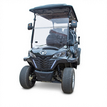Electric Golf Cart Manufacturer - Cross border OEM