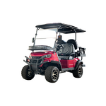 Electric Golf Cart Manufacturer - 2 8 Seater