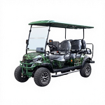 Electric Golf Cart Manufacturer - 2 8 Seater
