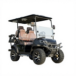 Electric Golf Cart Manufacturer - 4 Seater OEM