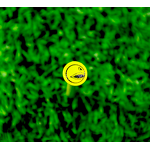 Golf Beads Manufacturer - Eco Friendly Custom