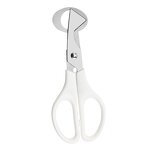 Quail Egg Scissors Factory - Stainless Steel Kitchen Shears Tool