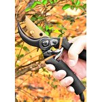 Garden Pruning Shears Manufacturer - High Quality SK5 Steel Blade Pruner