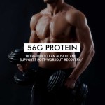 乳清蛋白粉源头工厂 - 工厂直供代工