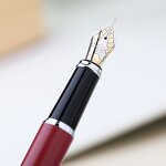 Fountain Pen Factory - Shanghai Hero 1502 F Metal Baking Paint 0.5mm