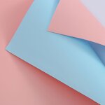 Flower Wrapping Paper Manufacturer - Wholesale Double Color Bouquet for Florist Supplies