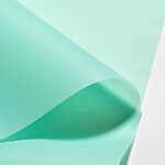 Floral Packaging Paper Factory - Wholesale Solid Color Waterproof Bouquet for Flower Shop