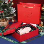 Paper Box Manufacturer - 2024 Cheap Chocolate Mug Red Green Ribbon Gift