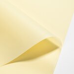 Floral Packaging Paper Factory - Wholesale Solid Color Waterproof Bouquet for Flower Shop