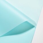 Floral Packaging Paper Factory - Wholesale Solid Color Waterproof Bouquet for Flower Shop