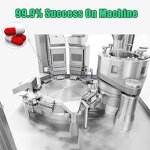 Empty Gelatin Capsules Manufacturer - OEM/ODM