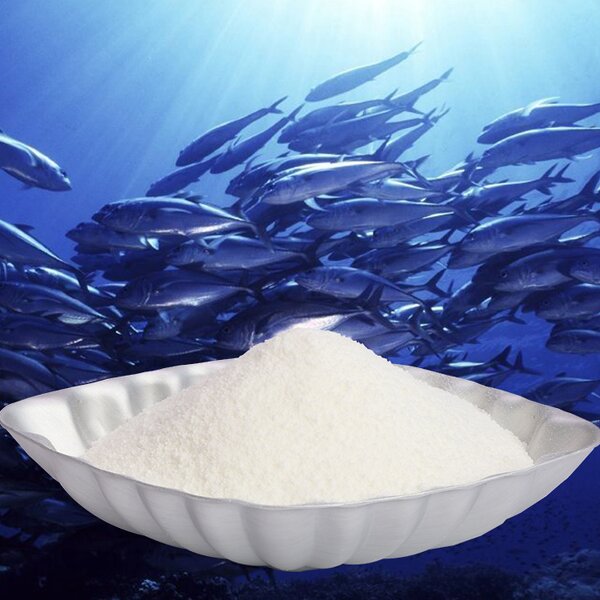 Marine Collagen Powder Manufacturer - Bulk Pure OEM