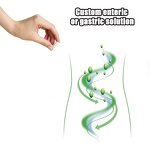 Empty Gelatin Capsules Manufacturer - Hard Size 0-4