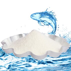 Marine Collagen Powder Manufacturer - Halal Type I