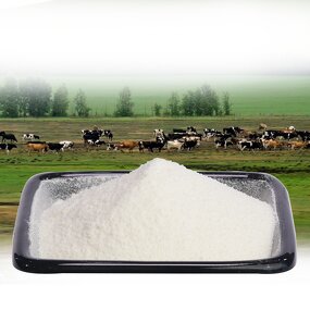 Bovine Collagen Peptide Powder Manufacturer - Type 2
