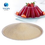 Gelatin Powder Manufacturer - Edible Food Grade OEM