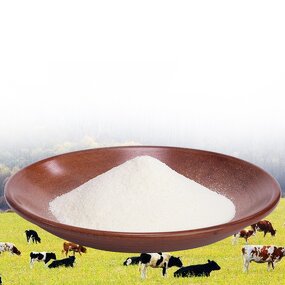 Beef Collagen Powder Manufacturer - Tasteless