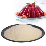 Hydrolyzed Gelatin Powder Manufacturer - Food Grade