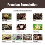 Instant Mushroom Coffee Manufacturer - OEM Private Label 10 in 1 Powder