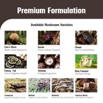 10 in 1 Energy Coffee Manufacturer - OEM Custom 12 Superfood Lions Mane Powder