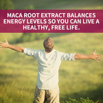 Men Enhancement Gummies Factory - OEM Natural Organic Herbal Supplement