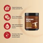 Organic Reishi Mushroom Coffee Factory - Wholesale Instant Blend with Lion's Mane