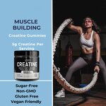 Gym Gummies Supplement Manufacturer - Wholesale Sugar Free Pre Workout Creatine