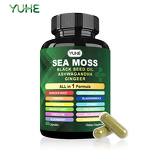 All in One Supplement Capsules Factory - Organic Irish Sea Moss Black Seed Oil