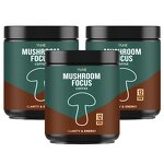 Focus Mushroom Coffee Powder Factory - OEM Private Label Cordyceps Turkey Tail