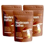 12 in 1 Mushroom Coffee Manufacturer - OEM Organic Mushroom Blend Coffee