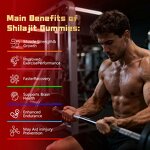 Sports Nutrition Gummies Factory - Free Sample Sugar Free 5000mg Creatine