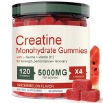 Gym Gummies Supplement Manufacturer - Wholesale Sugar Free Pre Workout Creatine
