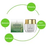 Skincare Set Manufacturer - Whitening Avocado OEM